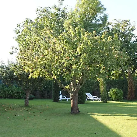 Landsitz Ruegen Апартаменты Глове